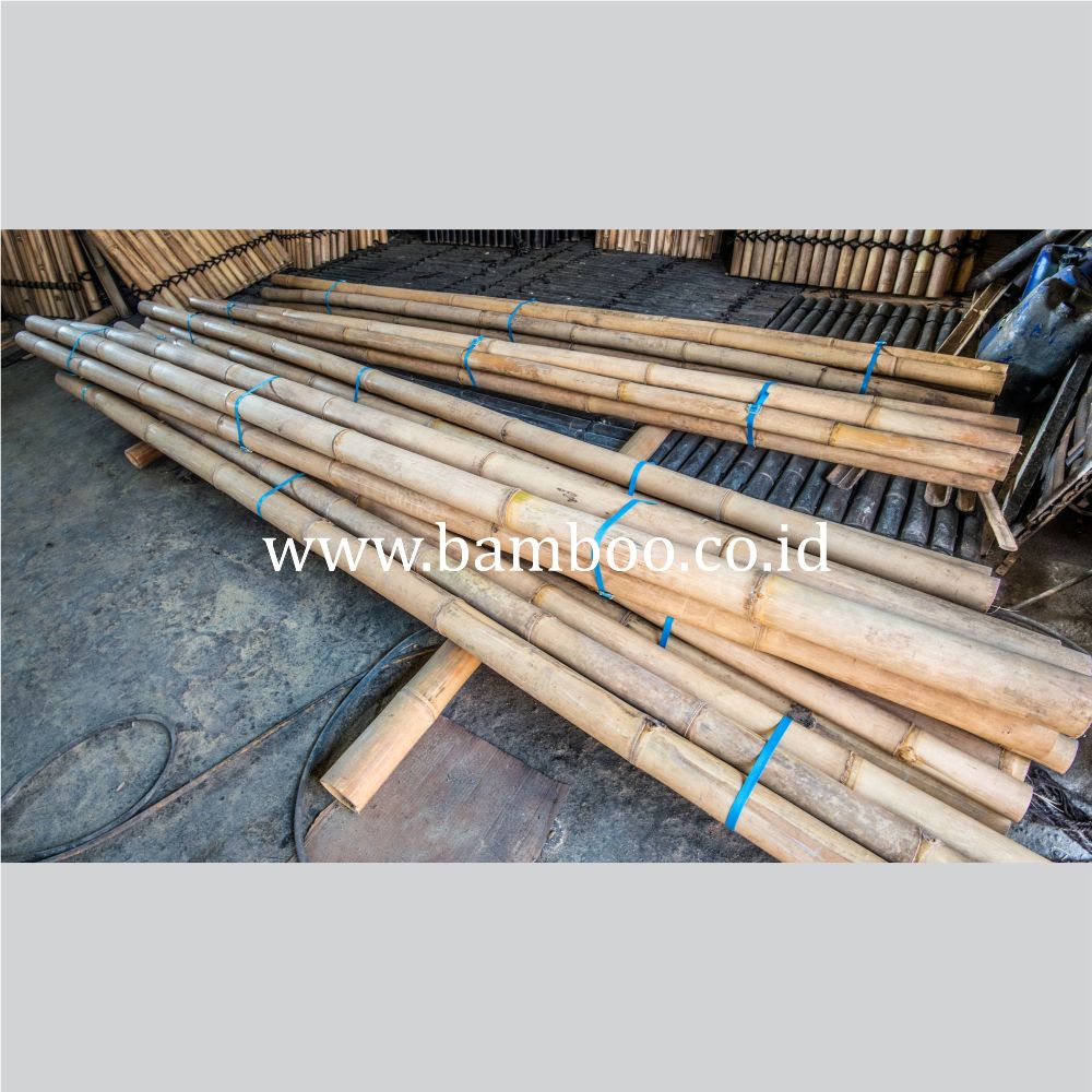 Bamboo Poles for Construction and Home Decor | Natural 2 - 4 Meter Natural Color